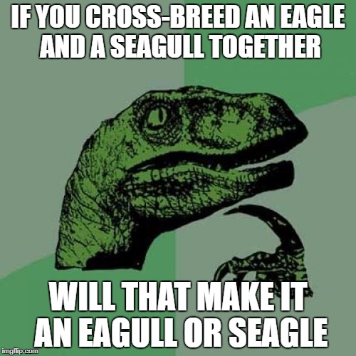 02/34912cf2b377.jpg