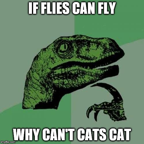 0c/453813e61068.jpg