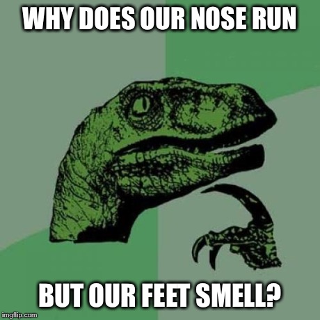 1c/b73e605c07e9.jpg