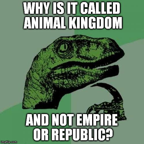 1e/e4877734a9fd.jpg
