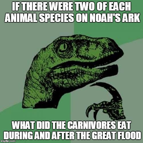 1f/9177d2225d99.jpg