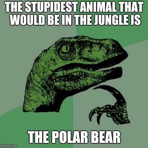 1f/b497cc1254c3.jpg