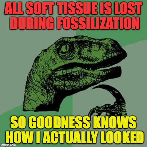 2a/dd45f52c92bf.jpg