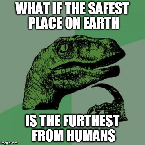 2a/eafa1f53336b.jpg