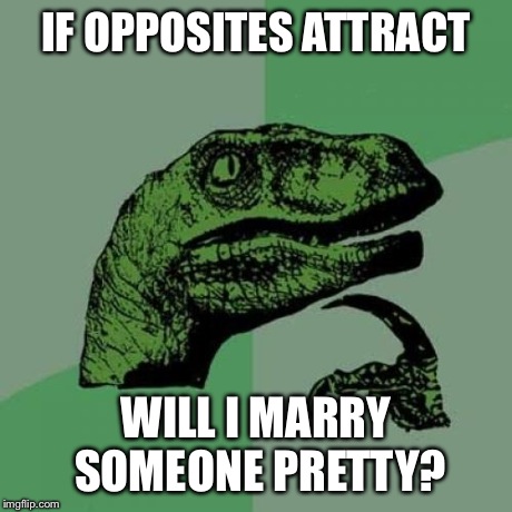 2b/2c465e0efc08.jpg