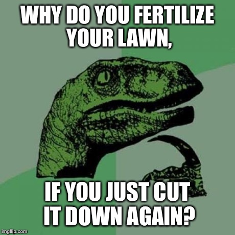 2b/7920d6afdd41.jpg
