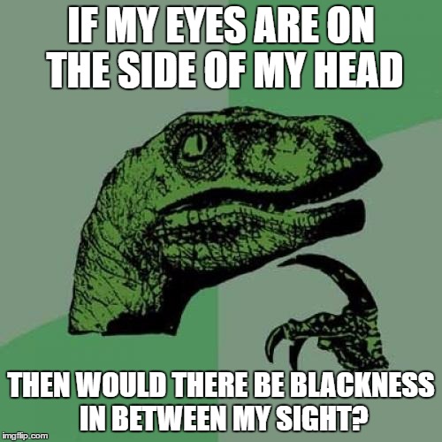 2b/82c025340d84.jpg