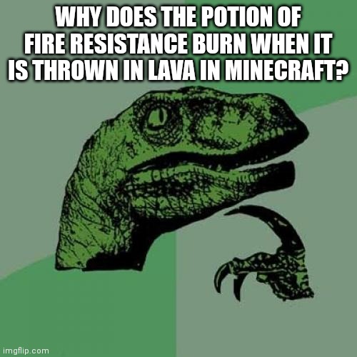 2d/24f5c876bb0c.jpg