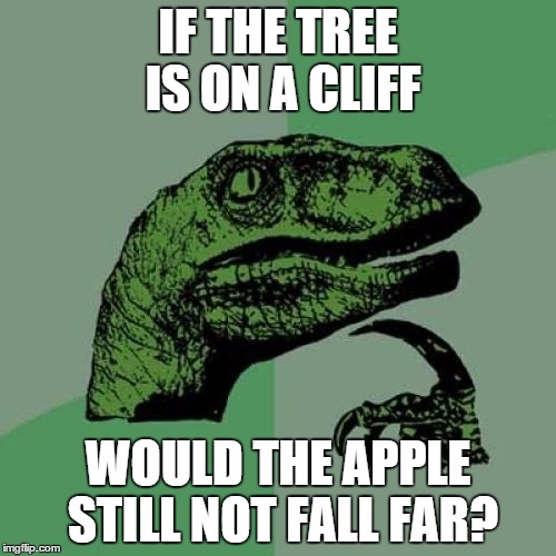 2d/9575f8372248.jpg