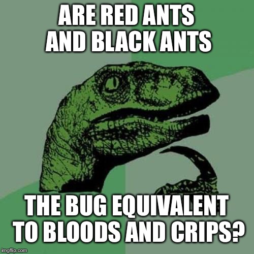 2d/b0d9ffe76442.jpg