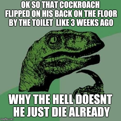 2e/3ef234abd10c.jpg