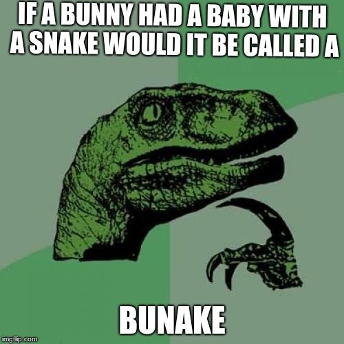 2e/7cf6f8fbb8e1.jpg