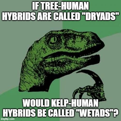 2e/9487d3f0e38c.jpg