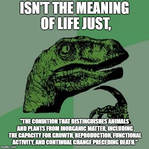 2e/fdde9c8db7ab.jpg