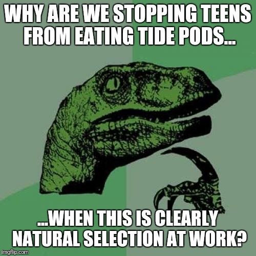 2f/082f58e4aebd.jpg