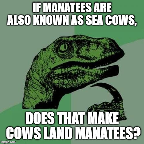 3c/3066bc9ff3b7.jpg