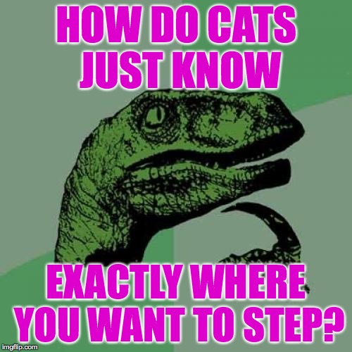 3d/4019c42f297d.jpg