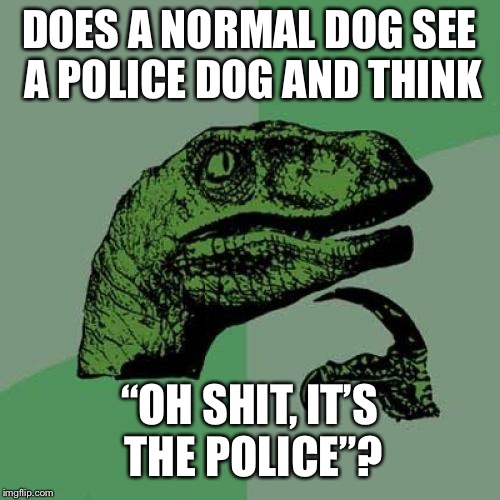 3f/13f0cf4ca28f.jpg