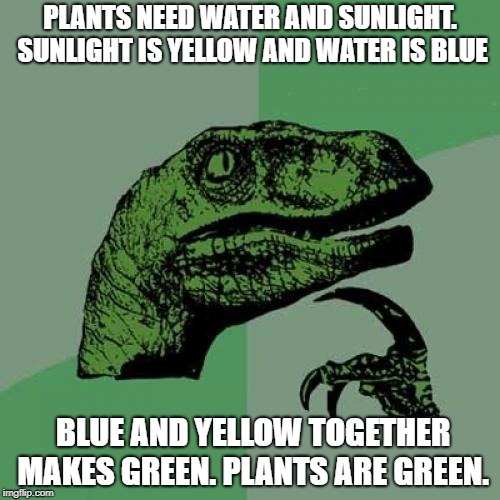 3f/872f4e426317.jpg