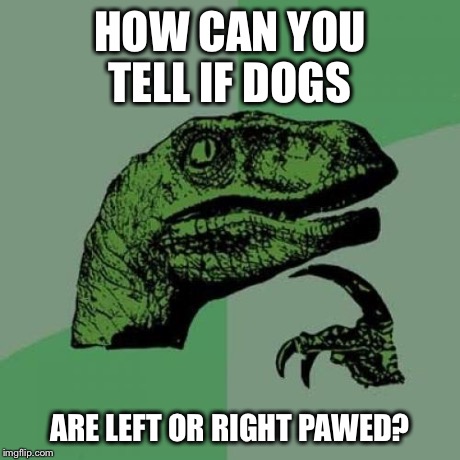 3f/9e468a65729d.jpg