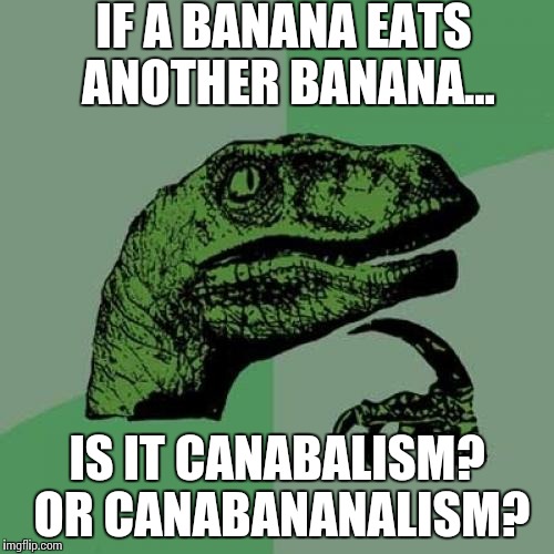 4a/c63a2f3c6552.jpg