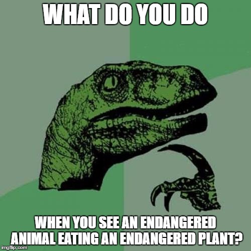 4b/28377da6751b.jpg
