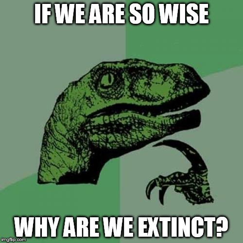 4b/87c202d2e75f.jpg