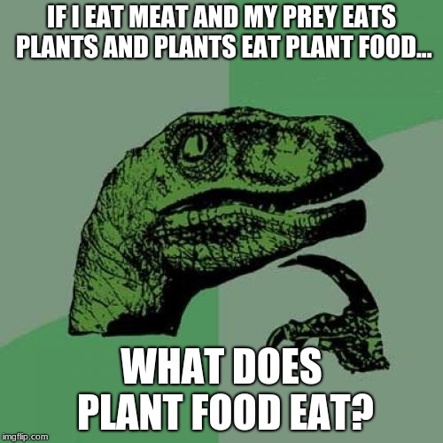 4b/cc8f0b8ca8c8.jpg