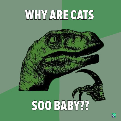 4b/f8fd4e2f77ab.jpg
